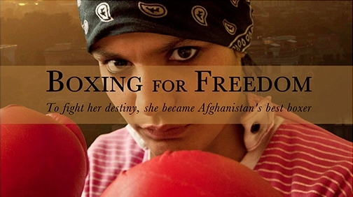 boxing-for-freedom
